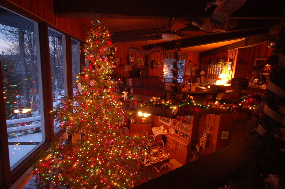 Stouffermill Bed & Breakfast Algonquin Highlands Екстер'єр фото